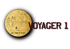 パイゼル ボイジャー サーフボード voyager